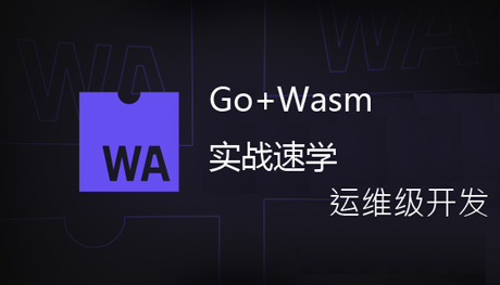golang实战开发wasm(运开角度)