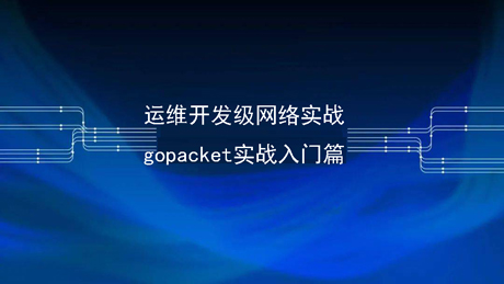 运维开发级网络开发实战之gopacket篇