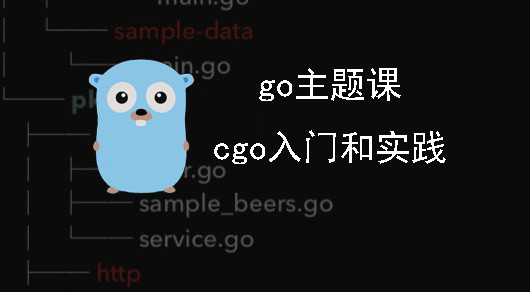 go主题课:cgo快速入门和实践